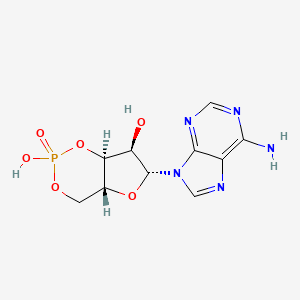 Adenosine-3',5'-cyclic Monophosphate