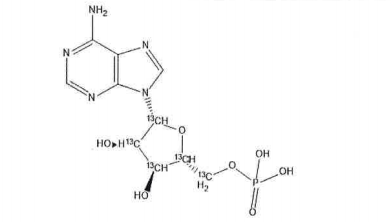 Adenosine 5'-Monophosphate 13C5