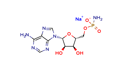 Adenosine 5'-Monophosphoramidate