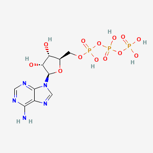 Adenosine 5'-Triphosphate