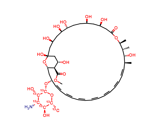 Amphotericin B-13C6 Methyl Ester