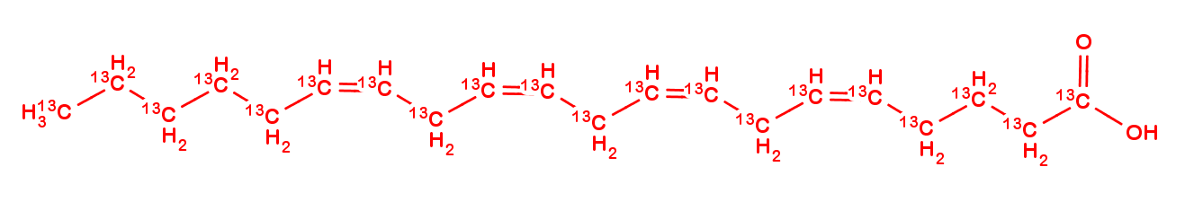 Arachidonic acid 13C20
