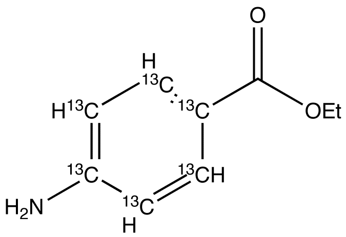 Benzocaine-13C6