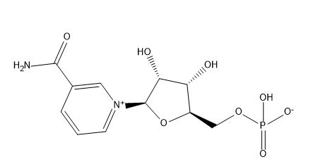 Beta-Nicotinamide mononucleotide