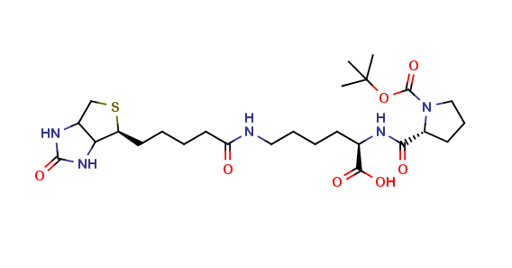 Biocytin-N-(t-boc)-L-proline