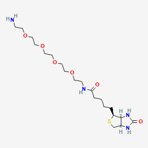 Biotin-peg4-amine