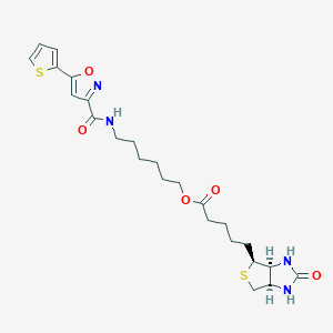 Biotinylated isoxazole