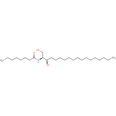 C8 Dihydroceramide