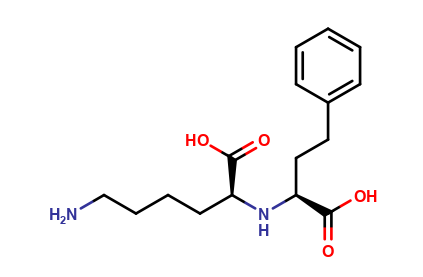 CPP-Lysine