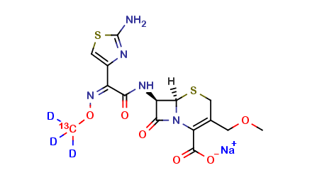 Cefpodoxime 13CD3 sodium