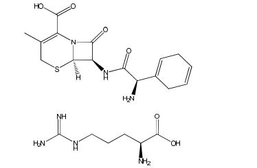 Cephradine L-arginine