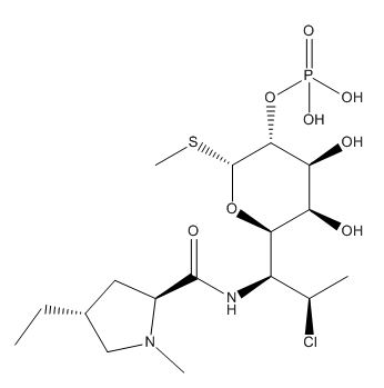 Clindamycin B2 Phosphate