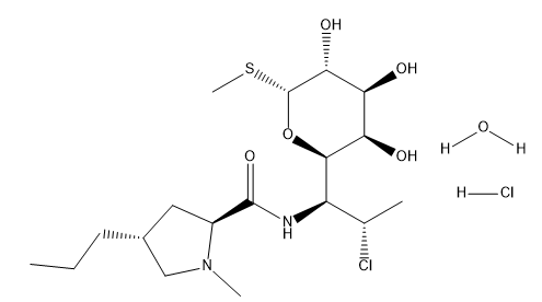 Clindamycin Hydrochloride Monohydrate