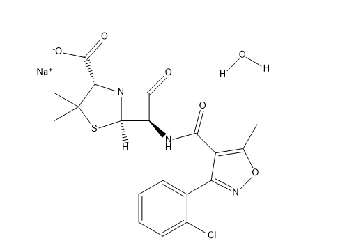 Cloxacillin Sodium Monohydrate