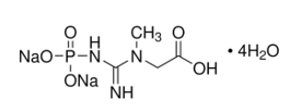 Creatine Phosphate Disodium Salt tetrahydrate
