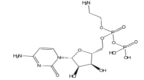 Cytidine Diphosphate Ethanolamine