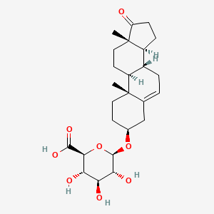 Dehydroepiandrosterone Glucuronide