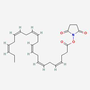 Docosahexaenoic Acid N-Succinimide