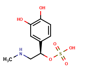 Epinephrine Adduct-1