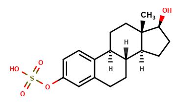 Estradiol 3-sulfate