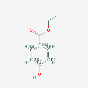 Ethyl Paraben-13C6