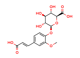 Ferulic Acid-β-O-β-D-Glucuronide
