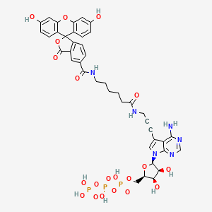 Fluorescein Alkynylamino-ATP