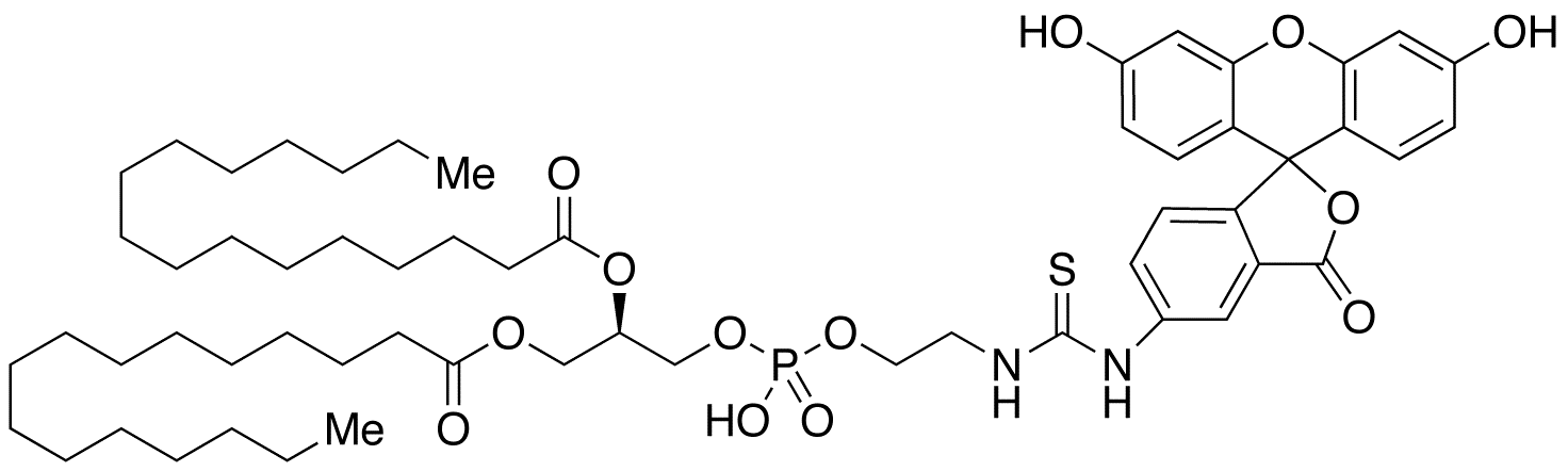 Fluorescein-Dipalmitoylphosphatidylethanolamine