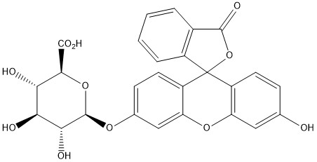 Fluorescein Glucuronide