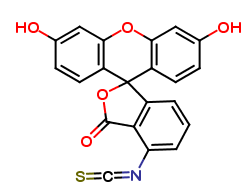 Fluorescein Isothiocyanate