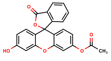 Fluorescein Monoacetate
