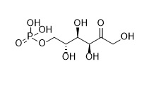 Fructose-6-phosphate
