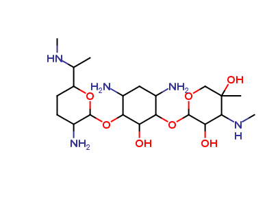 Gentamicin for peak identification (Y0001363)