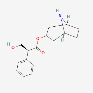 Hyoscyamine Related Compound A (R068D0)