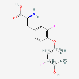 L-3,3'-Diiodothyronine-[13C6] (Solution)