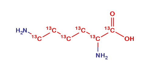 L-Lysine 13C6