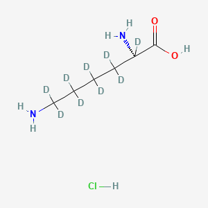 L-Lysine-2,3,3,4,4,5,5,6,6-d9 HCl