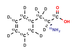 L-Phenylalanine (13C9,D8,15N)