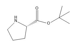 L-Proline t-butyl ester