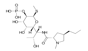 Lincomycin 2-Phosphate
