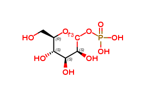 Mannose-1-phosphate-13C