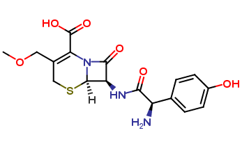 Methoxy Cefadroxil