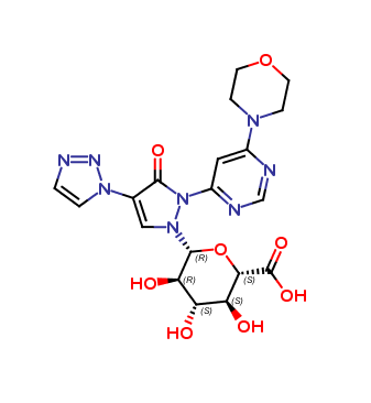 Molidustat Glucuronide