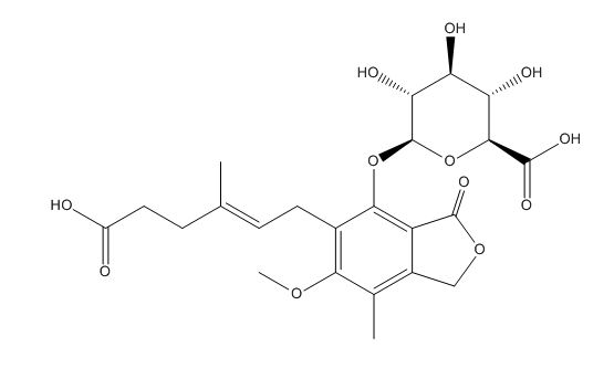 Mycophenolic Acid Glucuronide