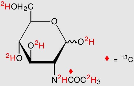N-[1-13C; 2-D3]acetyl-D-[tetra-O-D; N2-D]glucosamine