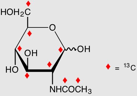 N-[1,2-13C2]Acetyl-D-[UL-13C6]glucosamine