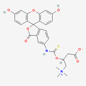 N-(5-Fluoresceinyl)-L-carnitine-O-thiocarbamate