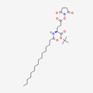 Nε-Palmitoyl-L-glutamic Acid γ-Succinimidyl-α-tert-butyl Ester