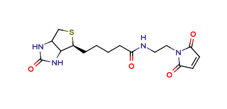 N-Biotinyl-N'-maleimido-ethylenediamine