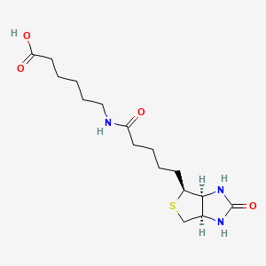 N-Biotinylcaproic Acid
